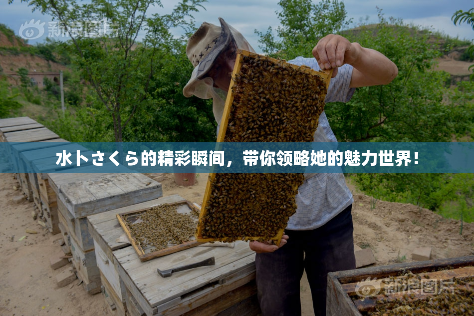 水卜さくら的精彩瞬间，带你领略她的魅力世界！