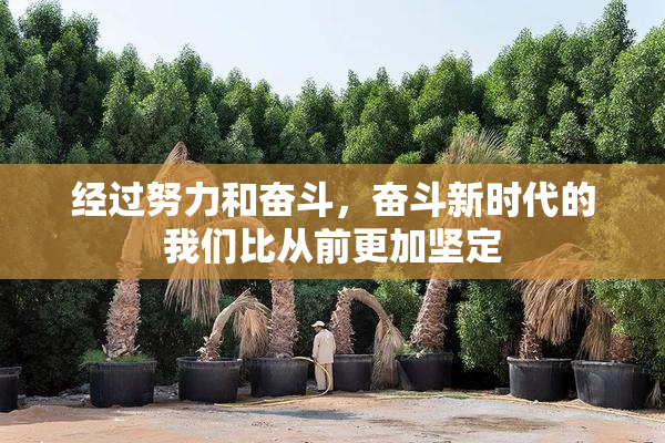 经过努力和奋斗，奋斗新时代的我们比从前更加坚定