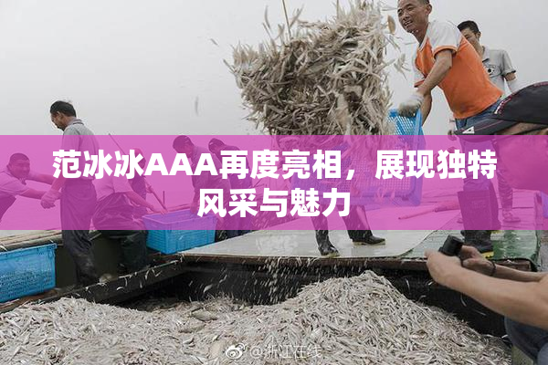 范冰冰AAA再度亮相，展现独特风采与魅力