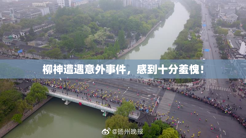 柳神遭遇意外事件，感到十分羞愧！