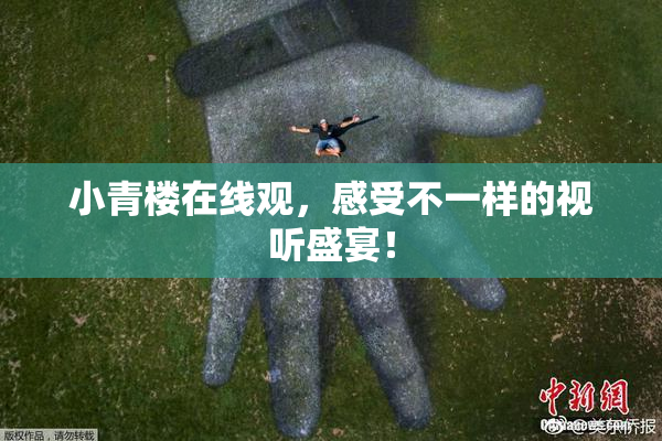 小青楼在线观，感受不一样的视听盛宴！