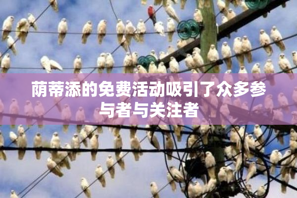 荫蒂添的免费活动吸引了众多参与者与关注者