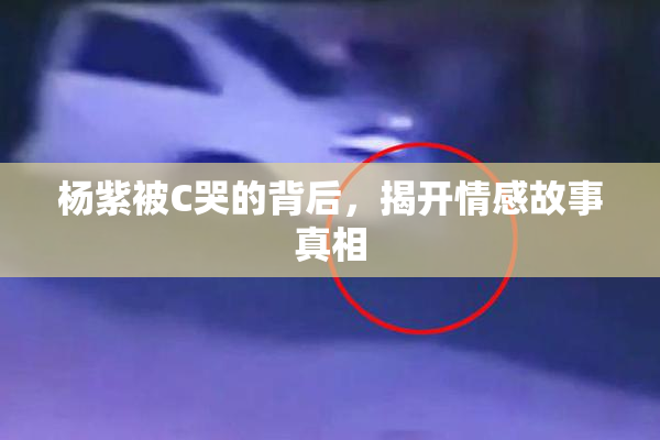 杨紫被C哭的背后，揭开情感故事真相