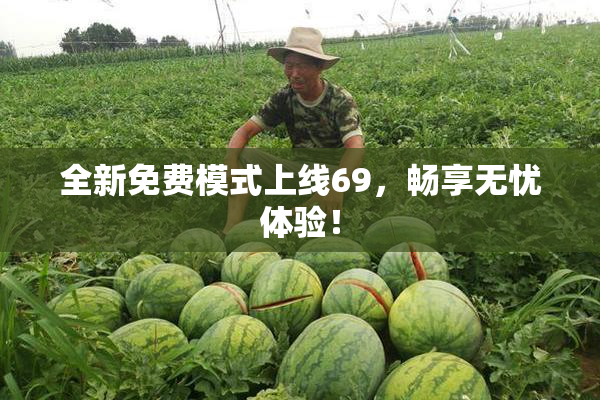 全新免费模式上线69，畅享无忧体验！