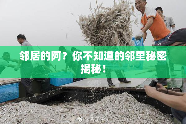 邻居的阿？你不知道的邻里秘密揭秘！