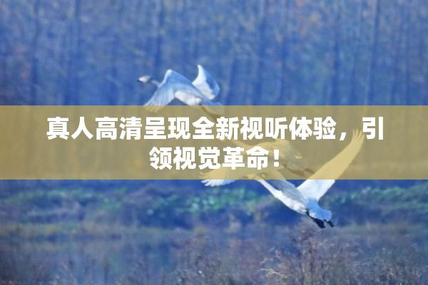 真人高清呈现全新视听体验，引领视觉革命！