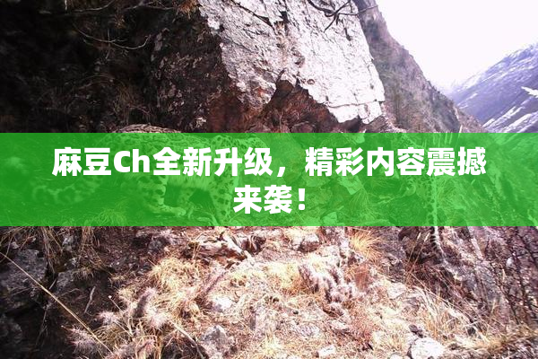 麻豆Ch全新升级，精彩内容震撼来袭！
