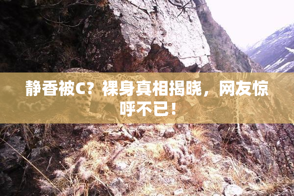 静香被C？裸身真相揭晓，网友惊呼不已！
