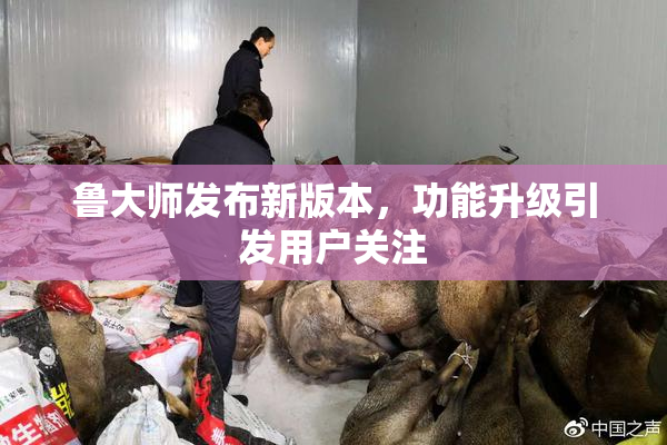 鲁大师发布新版本，功能升级引发用户关注