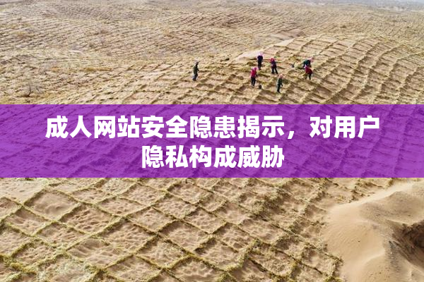 成人网站安全隐患揭示，对用户隐私构成威胁