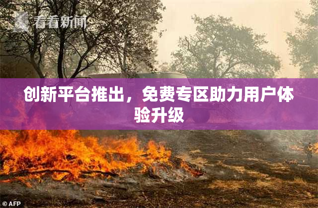 创新平台推出，免费专区助力用户体验升级