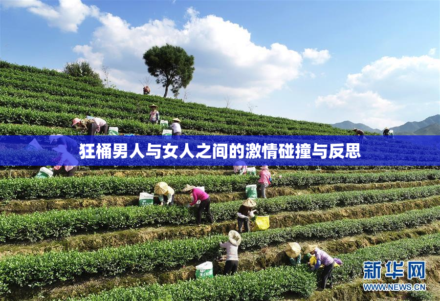 狂桶男人与女人之间的激情碰撞与反思