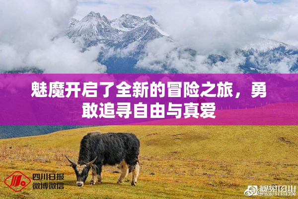 魅魔开启了全新的冒险之旅，勇敢追寻自由与真爱