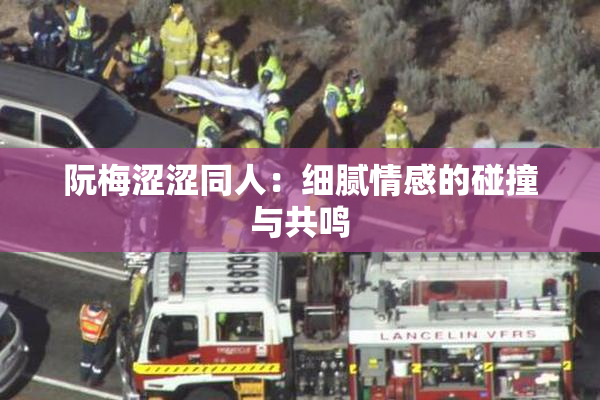 阮梅涩涩同人：细腻情感的碰撞与共鸣