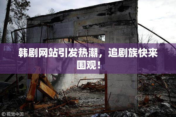 韩剧网站引发热潮，追剧族快来围观！