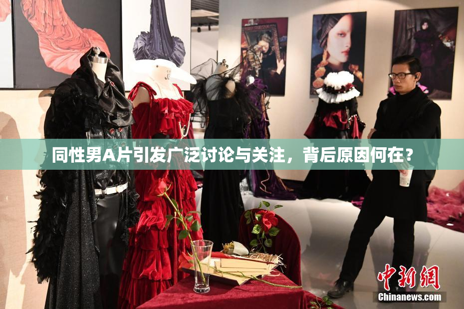 同性男A片引发广泛讨论与关注，背后原因何在？