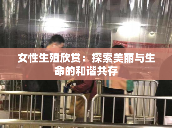 女性生殖欣赏：探索美丽与生命的和谐共存