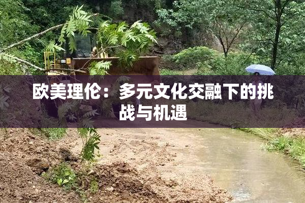 欧美理伦：多元文化交融下的挑战与机遇