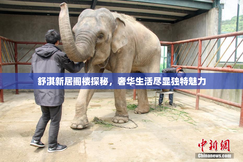 舒淇新居阁楼探秘，奢华生活尽显独特魅力