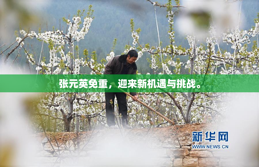 张元英免重，迎来新机遇与挑战。