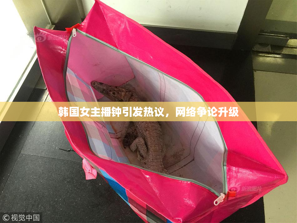 韩国女主播钟引发热议，网络争论升级