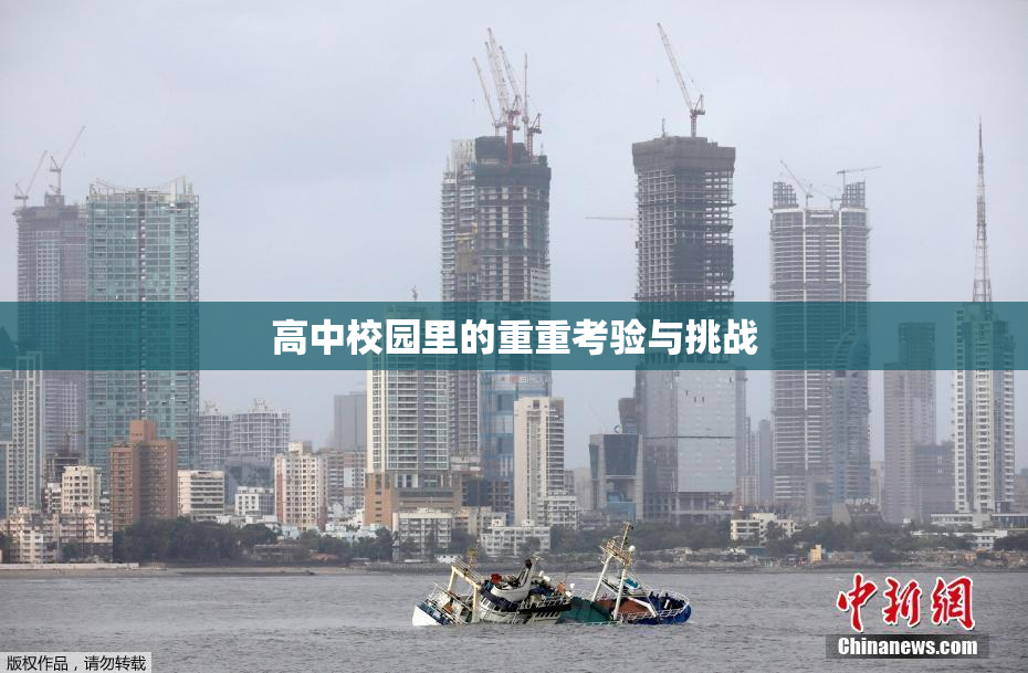 高中校园里的重重考验与挑战