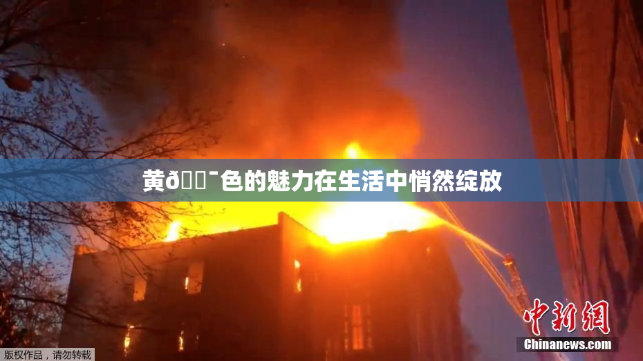 黄🔯色的魅力在生活中悄然绽放