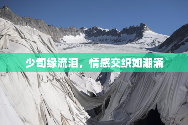 少司缘流泪，情感交织如潮涌