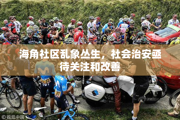 海角社区乱象丛生，社会治安亟待关注和改善