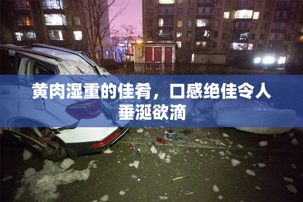 黄肉湿重的佳肴，口感绝佳令人垂涎欲滴
