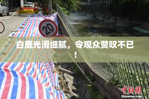 白鹿光滑细腻，令观众赞叹不已！