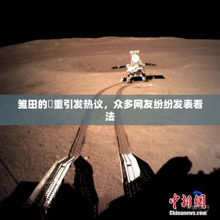 雏田的婬重引发热议，众多网友纷纷发表看法
