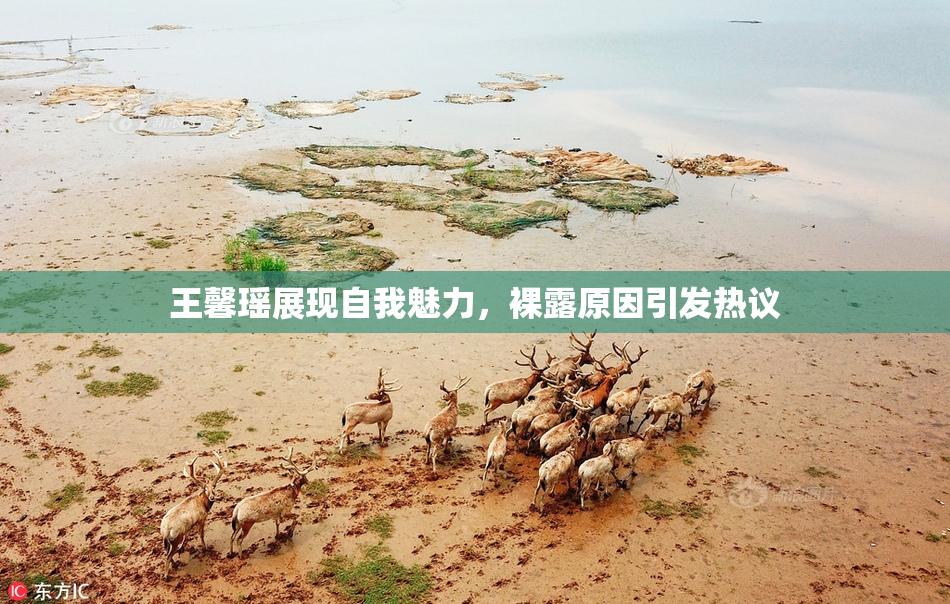 王馨瑶展现自我魅力，裸露原因引发热议