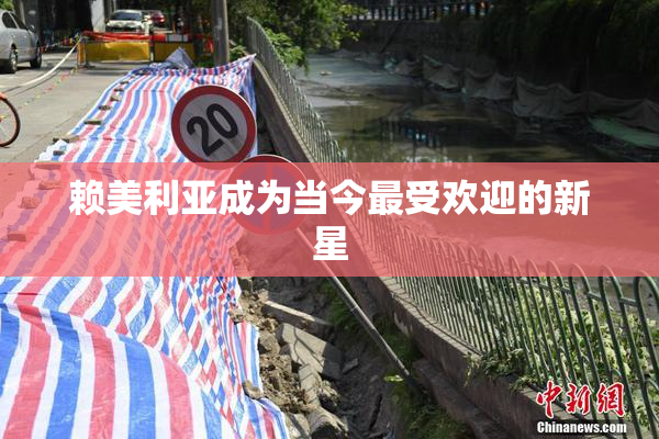 赖美利亚成为当今最受欢迎的新星