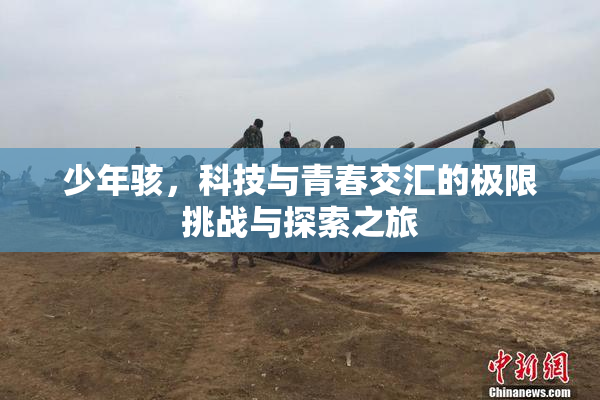 少年骇，科技与青春交汇的极限挑战与探索之旅