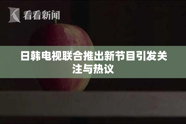 日韩电视联合推出新节目引发关注与热议