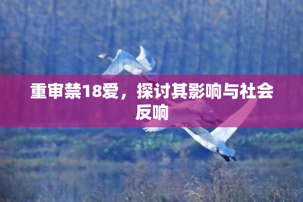重审禁18爱，探讨其影响与社会反响