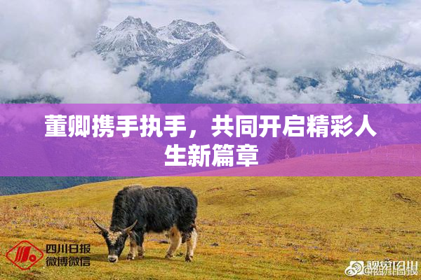 董卿携手执手，共同开启精彩人生新篇章