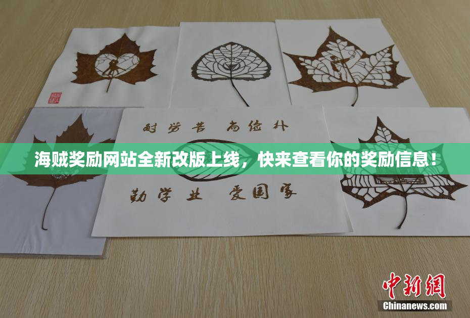 海贼奖励网站全新改版上线，快来查看你的奖励信息！