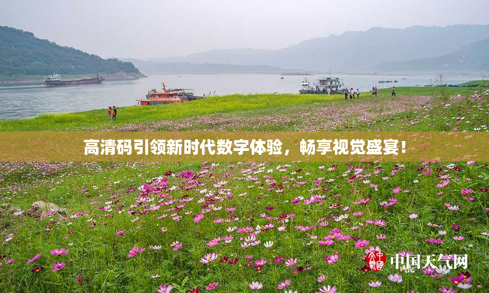 高清码引领新时代数字体验，畅享视觉盛宴！