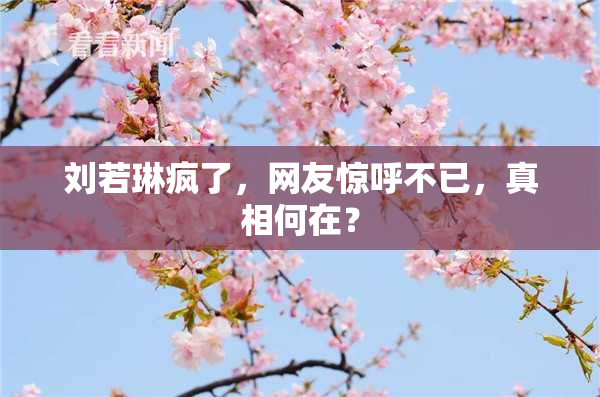 刘若琳疯了，网友惊呼不已，真相何在？