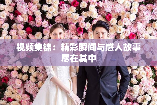 视频集锦：精彩瞬间与感人故事尽在其中