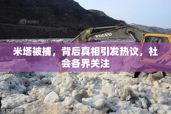 米塔被捕，背后真相引发热议，社会各界关注