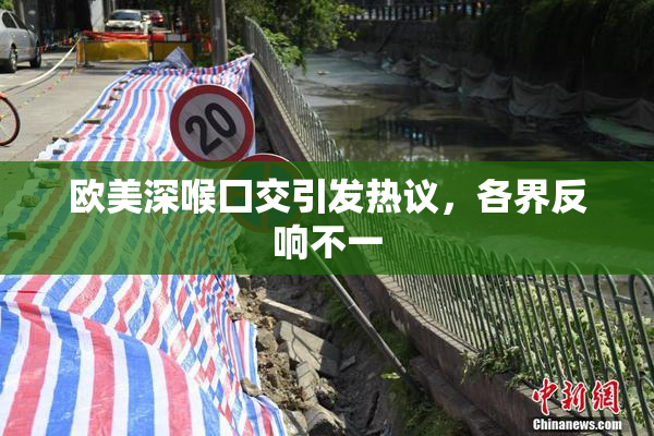 欧美深喉囗交引发热议，各界反响不一