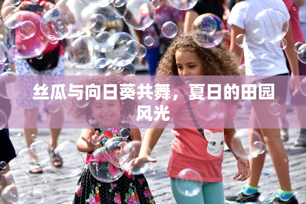丝瓜与向日葵共舞，夏日的田园风光