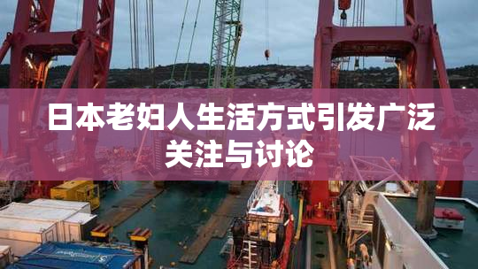 日本老妇人生活方式引发广泛关注与讨论