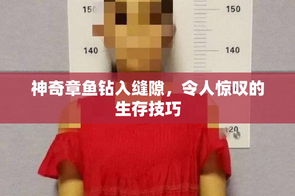神奇章鱼钻入缝隙，令人惊叹的生存技巧