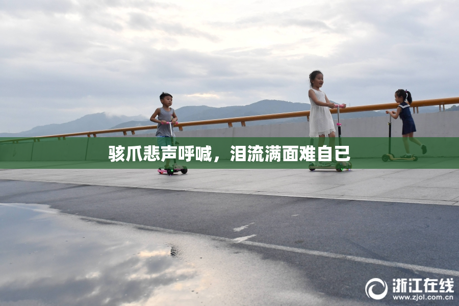 骇爪悲声呼喊，泪流满面难自已