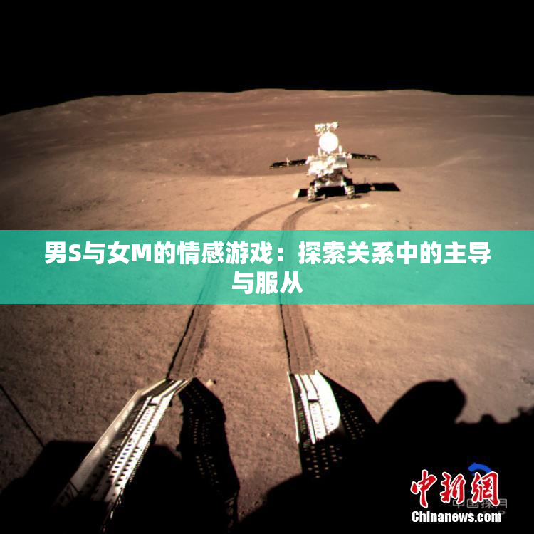 男S与女M的情感游戏：探索关系中的主导与服从