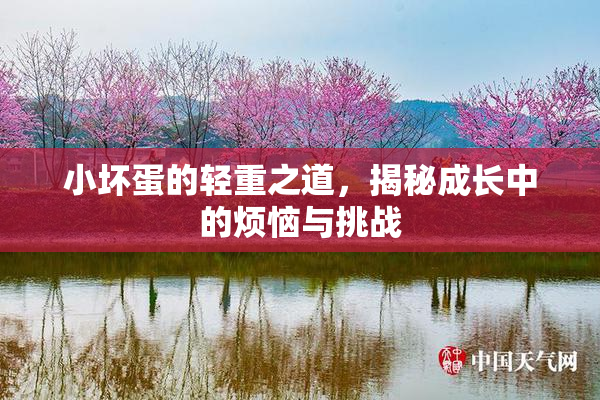 小坏蛋的轻重之道，揭秘成长中的烦恼与挑战
